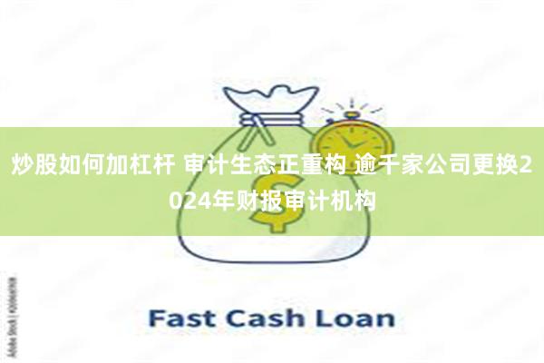 炒股如何加杠杆 审计生态正重构 逾千家公司更换2024年财报审计机构