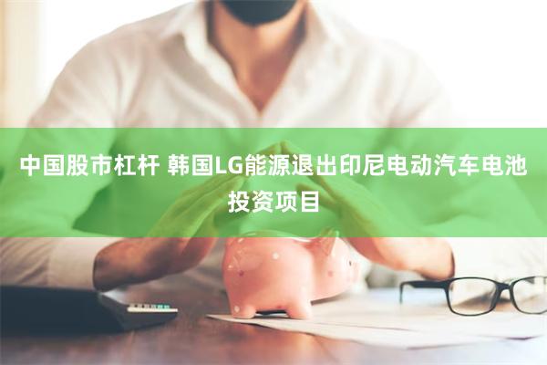 中国股市杠杆 韩国LG能源退出印尼电动汽车电池投资项目
