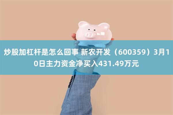 炒股加杠杆是怎么回事 新农开发（600359）3月10日主力资金净买入431.49万元