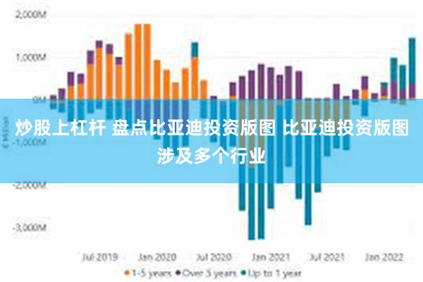 炒股上杠杆 盘点比亚迪投资版图 比亚迪投资版图涉及多个行业