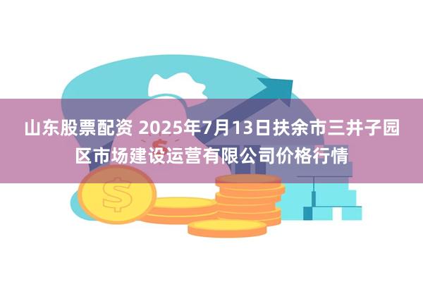 山东股票配资 2025年7月13日扶余市三井子园区市场建设运营有限公司价格行情