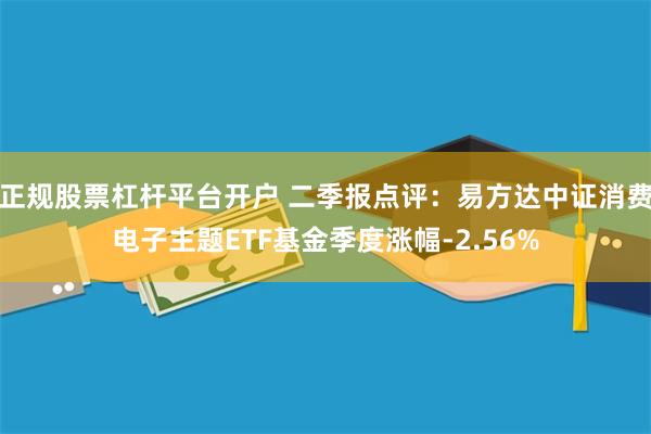 正规股票杠杆平台开户 二季报点评：易方达中证消费电子主题ETF基金季度涨幅-2.56%