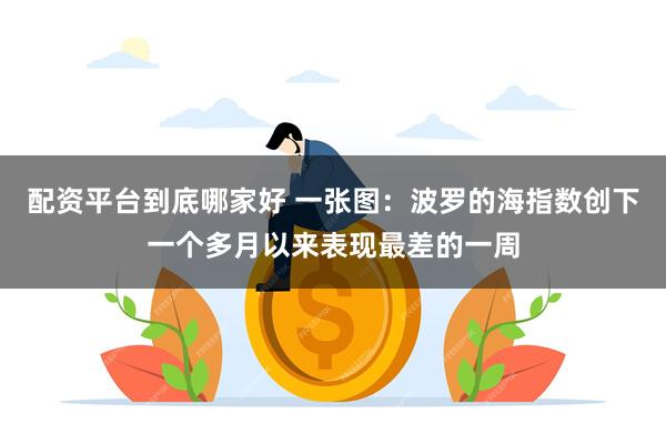 配资平台到底哪家好 一张图：波罗的海指数创下一个多月以来表现最差的一周