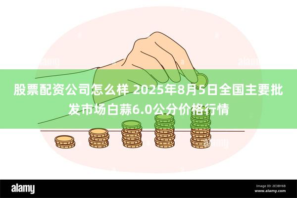 股票配资公司怎么样 2025年8月5日全国主要批发市场白蒜6.0公分价格行情