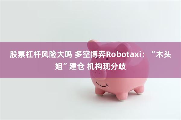 股票杠杆风险大吗 多空博弈Robotaxi：“木头姐”建仓 机构现分歧