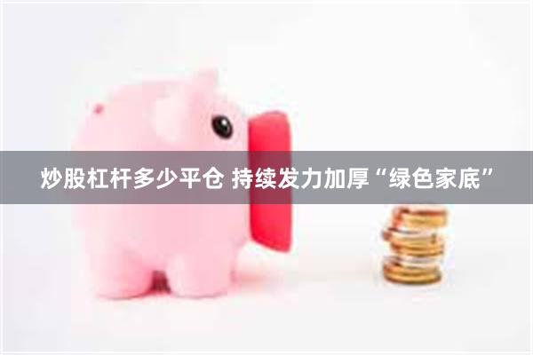 炒股杠杆多少平仓 持续发力加厚“绿色家底”