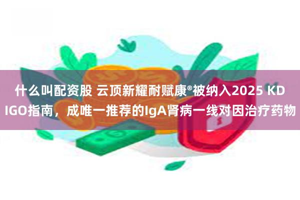 什么叫配资股 云顶新耀耐赋康®被纳入2025 KDIGO指南，成唯一推荐的IgA肾病一线对因治疗药物