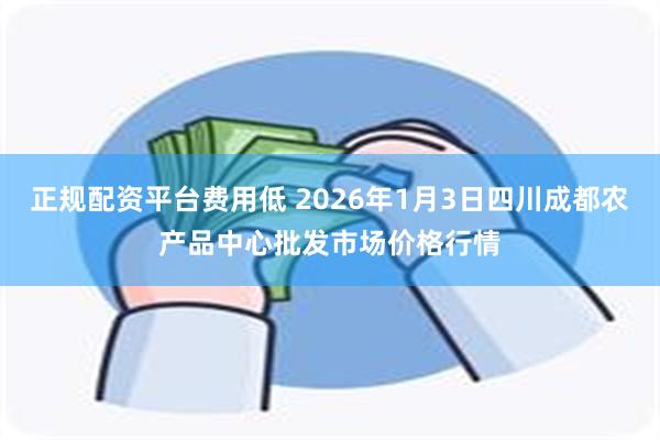 正规配资平台费用低 2026年1月3日四川成都农产品中心批发市场价格行情