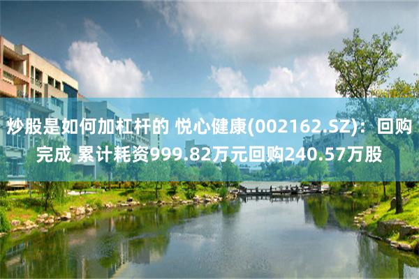 炒股是如何加杠杆的 悦心健康(002162.SZ)：回购完成 累计耗资999.82万元回购240.57万股
