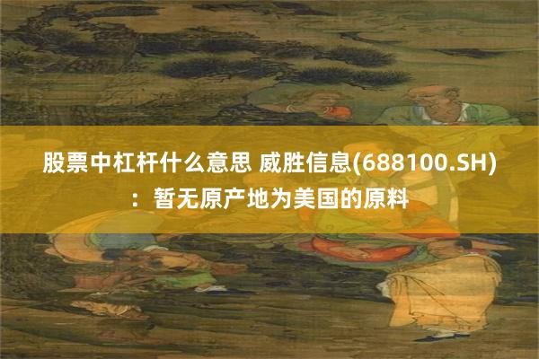 股票中杠杆什么意思 威胜信息(688100.SH)：暂无原产地为美国的原料
