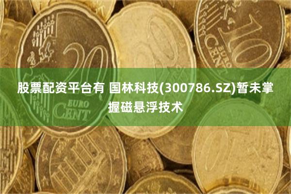 股票配资平台有 国林科技(300786.SZ)暂未掌握磁悬浮技术