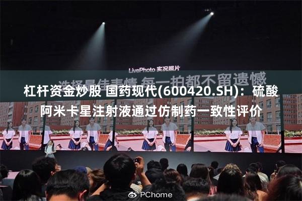 杠杆资金炒股 国药现代(600420.SH):硫酸阿米卡星注射液通过仿制药一致性评价