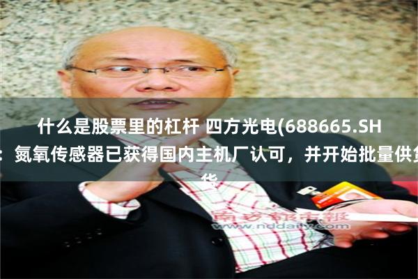 什么是股票里的杠杆 四方光电(688665.SH)：氮氧传感器已获得国内主机厂认可，并开始批量供货