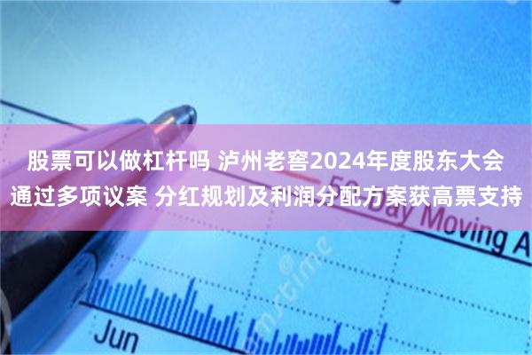 股票可以做杠杆吗 泸州老窖2024年度股东大会通过多项议案 分红规划及利润分配方案获高票支持