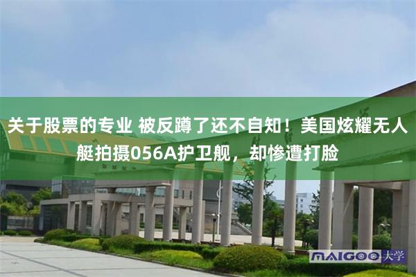 关于股票的专业 被反蹲了还不自知！美国炫耀无人艇拍摄056A护卫舰，却惨遭打脸