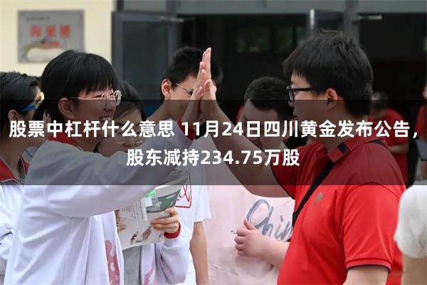 股票中杠杆什么意思 11月24日四川黄金发布公告，股东减持234.75万股