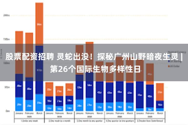 股票配资招聘 灵蛇出没！探秘广州山野暗夜生灵 | 第26个国际生物多样性日